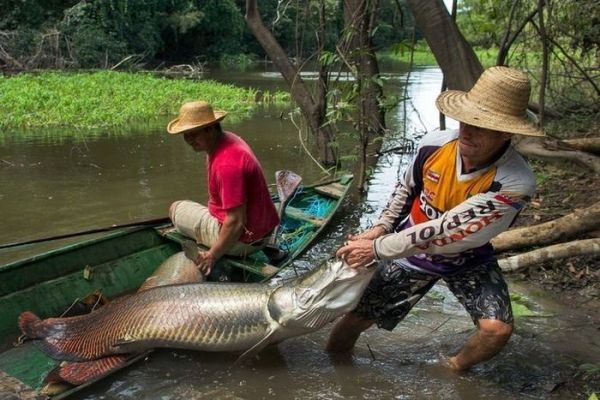 рыбалка на Амазонке