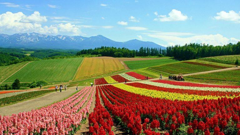 Долина Роз в Болгарии
