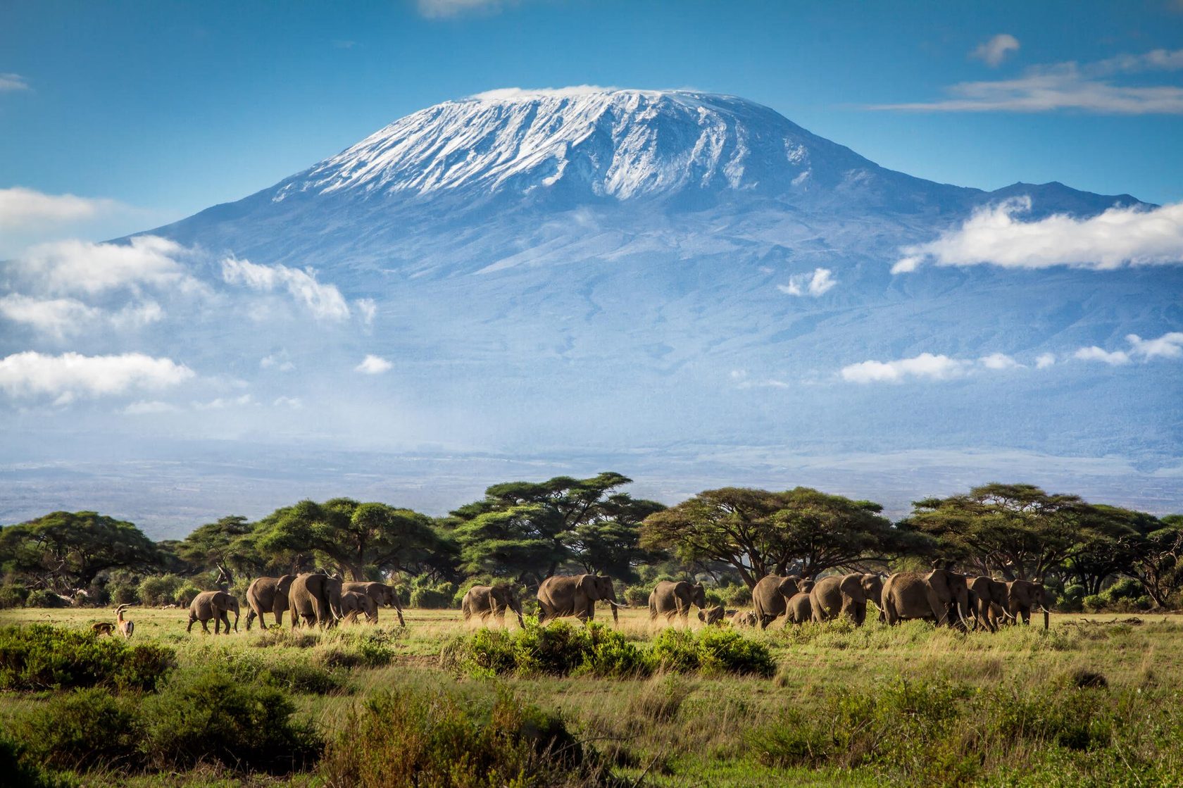 Килиманджаро фото
