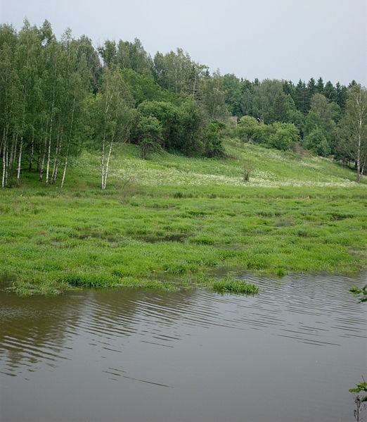 усадьба абрамцево