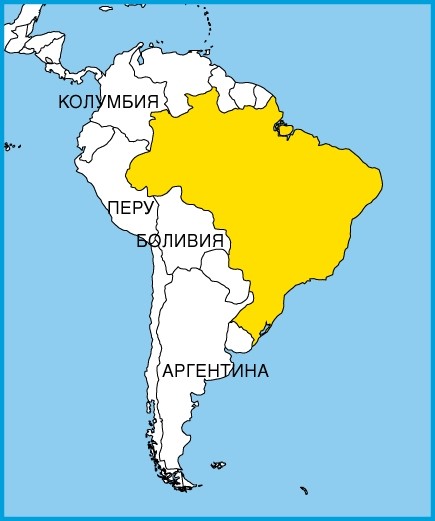 Бразилия в Южной Америке