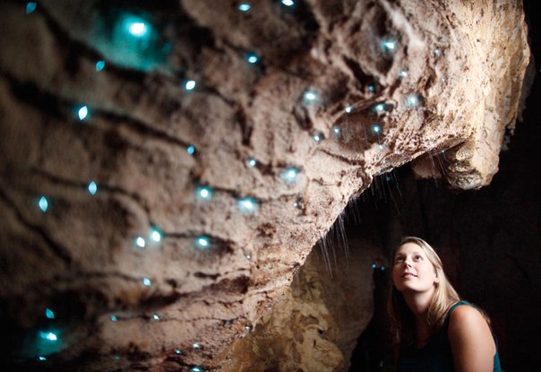 пещера светлячков Вайтомо