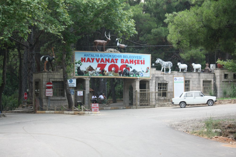 Зоопарк в Анталии