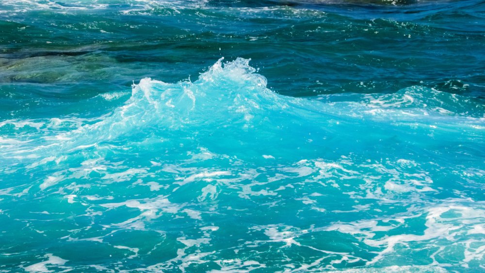 море