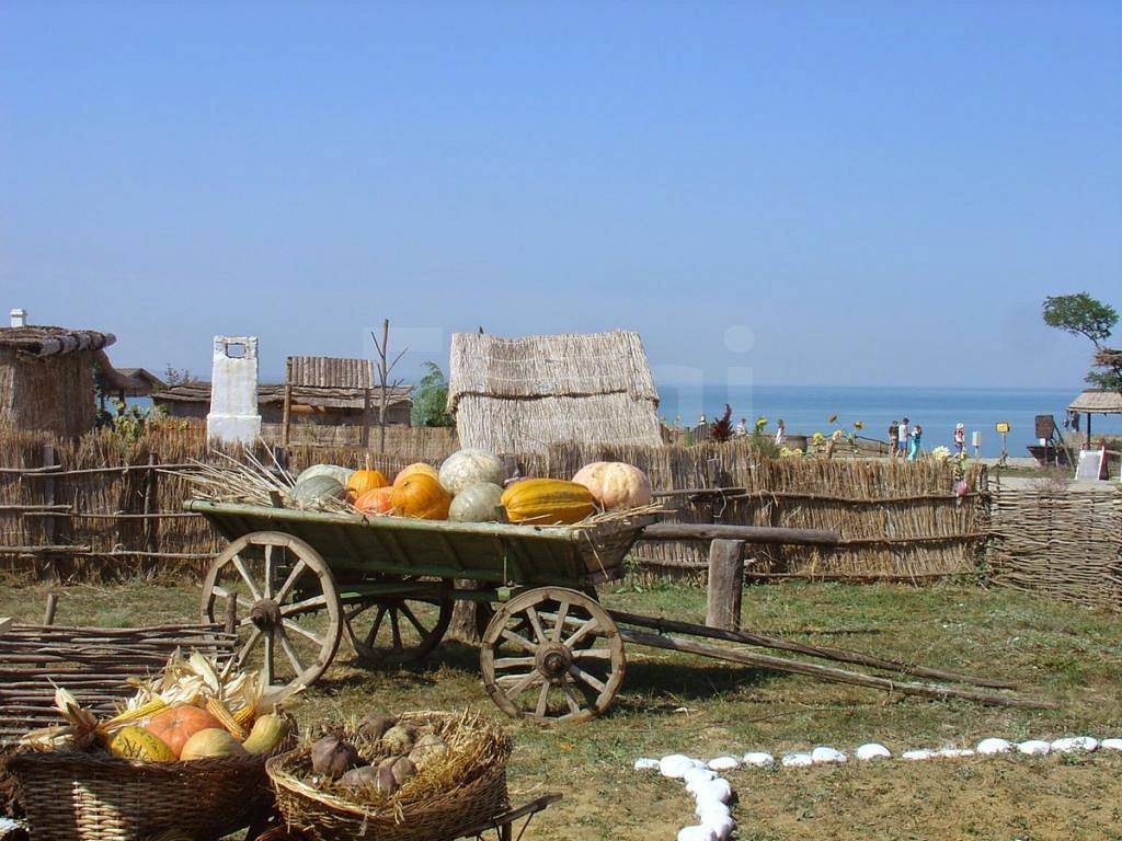 Краснодарский край Краснодарский край